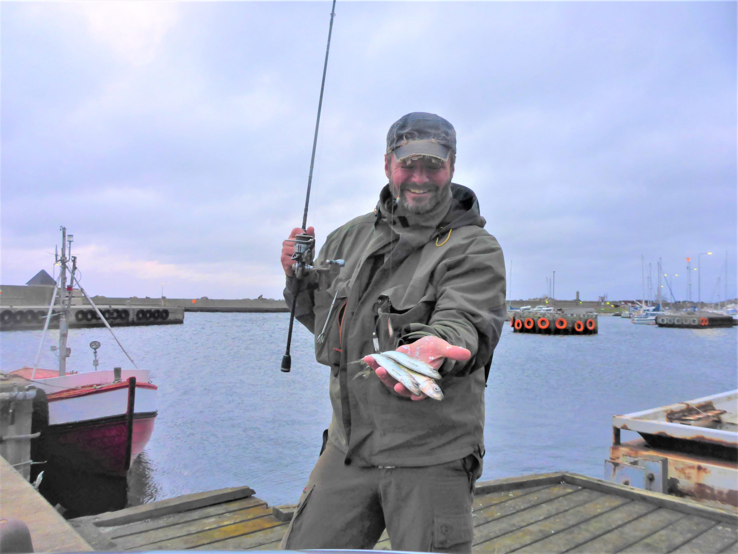 Sildefiskeri på Bornholm - Lystfiskeri på